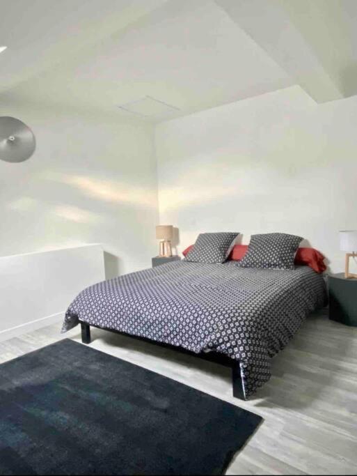 Appartement Centre Ville Saint-Amand-Mont-Rond Dış mekan fotoğraf
